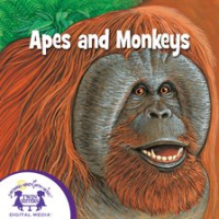 Apes_And_Monkeys